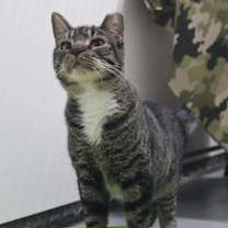 Thumbnail photo of Dakota #3