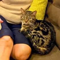 Thumbnail photo of Harpoon Howard #4