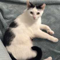 Thumbnail photo of Ms. Jersey #2