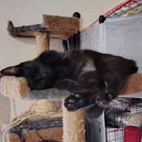 Thumbnail photo of Spooky #2