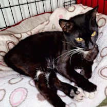 Thumbnail photo of Tina #3