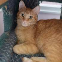 Thumbnail photo of Jake #1