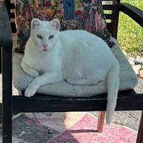 Thumbnail photo of sunny w. #2