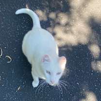 Thumbnail photo of sunny w. #3