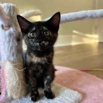 Thumbnail photo of Mary Kate #3