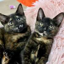 Thumbnail photo of Mary Kate #4