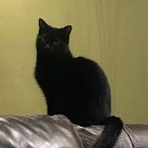 Thumbnail photo of Mia #2