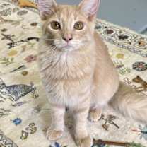 Thumbnail photo of David #1