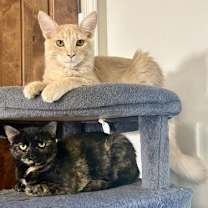 Thumbnail photo of David #2