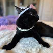 Thumbnail photo of Ju Jitsu #2