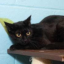 Thumbnail photo of Sienna #3