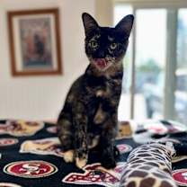 Thumbnail photo of Eureka #3