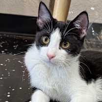 Thumbnail photo of Madory #1