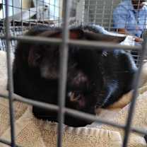 Thumbnail photo of October Night #3