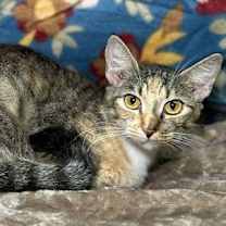 Thumbnail photo of 251030  M.C. #1