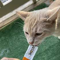 Thumbnail photo of Max #3