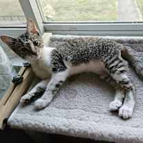 Thumbnail photo of TJ #2