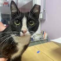 Thumbnail photo of Boots #3