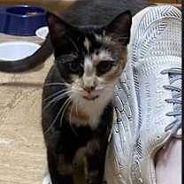 Thumbnail photo of Emmaline #3