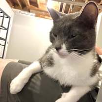 Thumbnail photo of Johan #4