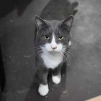 Thumbnail photo of William #1