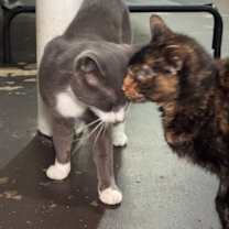 Thumbnail photo of William #2