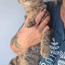 Thumbnail photo of Lorreta Lynn #1