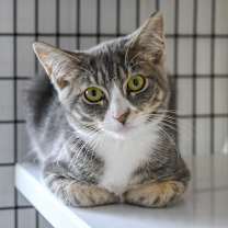 Thumbnail photo of Kelly #1