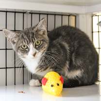 Thumbnail photo of Kelly #4