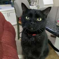 Thumbnail photo of Araceli **COURTESY POST** #2