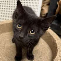 Thumbnail photo of Mia #3