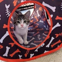 Thumbnail photo of Humphrey #4