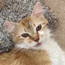 Thumbnail photo of Audrey #4