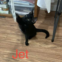 Thumbnail photo of Jet #1