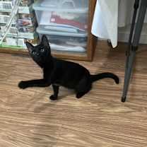 Thumbnail photo of Jet #2