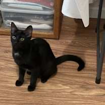 Thumbnail photo of Jet #3