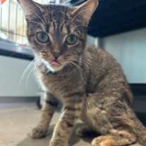 Thumbnail photo of Carly #1