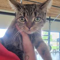 Thumbnail photo of Carly #3