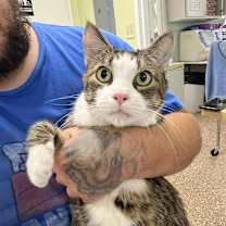 Thumbnail photo of Aramis #1