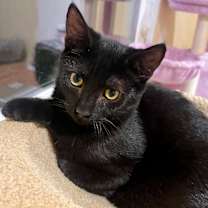 Thumbnail photo of Remi #3