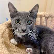 Thumbnail photo of Viktor #1