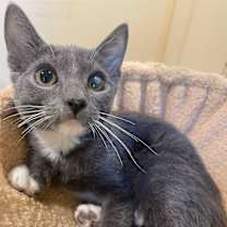 Thumbnail photo of Viktor #3