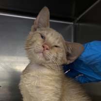 Thumbnail photo of Crush #3