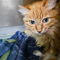 Thumbnail photo of Beatrice #1