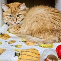 Thumbnail photo of Beatrice #2