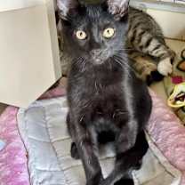 Thumbnail photo of Peter #2