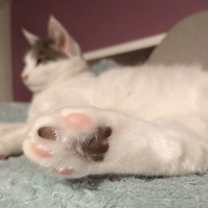 Thumbnail photo of Harold #2