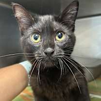 Thumbnail photo of Margo #1