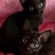 Thumbnail photo of Ceci #4