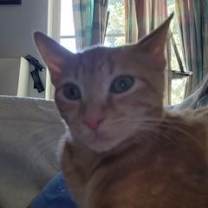 Thumbnail photo of Mina #2